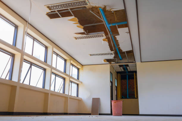 Best 24/7 water damage repair  in Bayou Blue, LA
