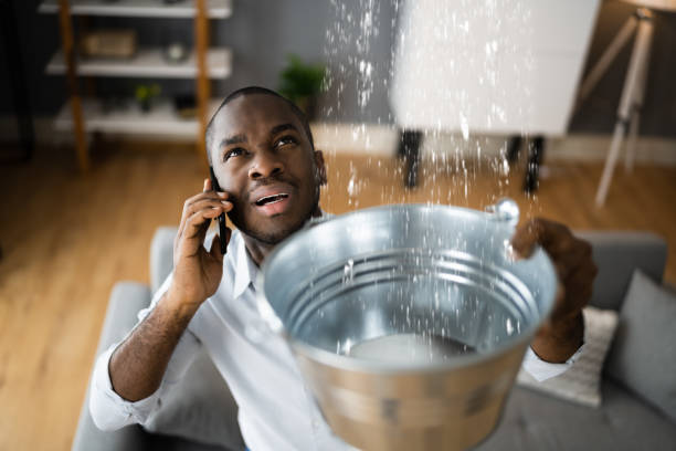 Best Sewage cleanup and water damage restoration  in Bayou Blue, LA