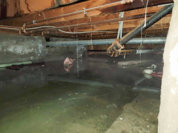 Best Carpet water damage restoration  in Bayou Blue, LA