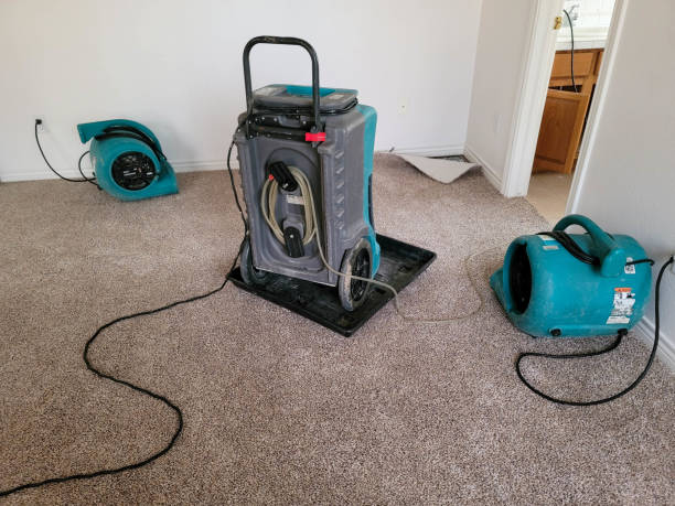 Best Water damage restoration near me  in Bayou Blue, LA
