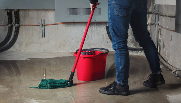 Best Water damage cleanup near me  in Bayou Blue, LA