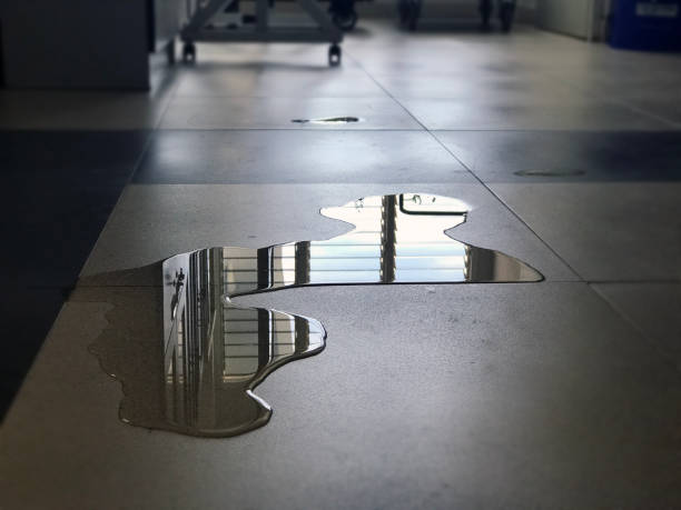 Trusted LA Water damage restoration Experts