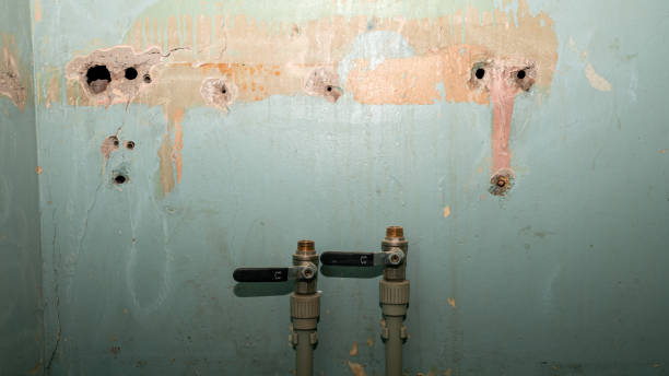 Best Ceiling water damage repair  in Bayou Blue, LA