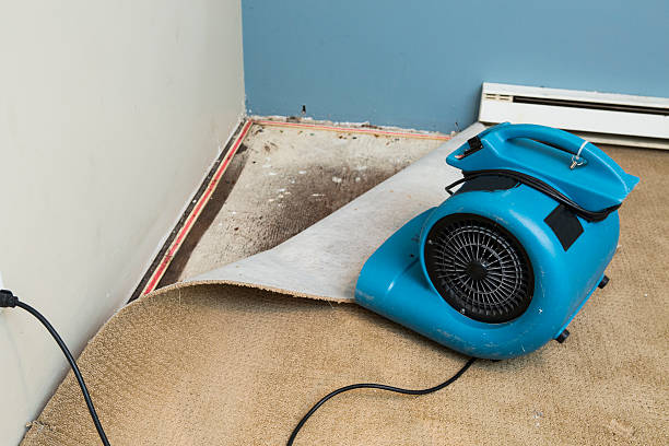 Best Flood damage cleanup  in Bayou Blue, LA